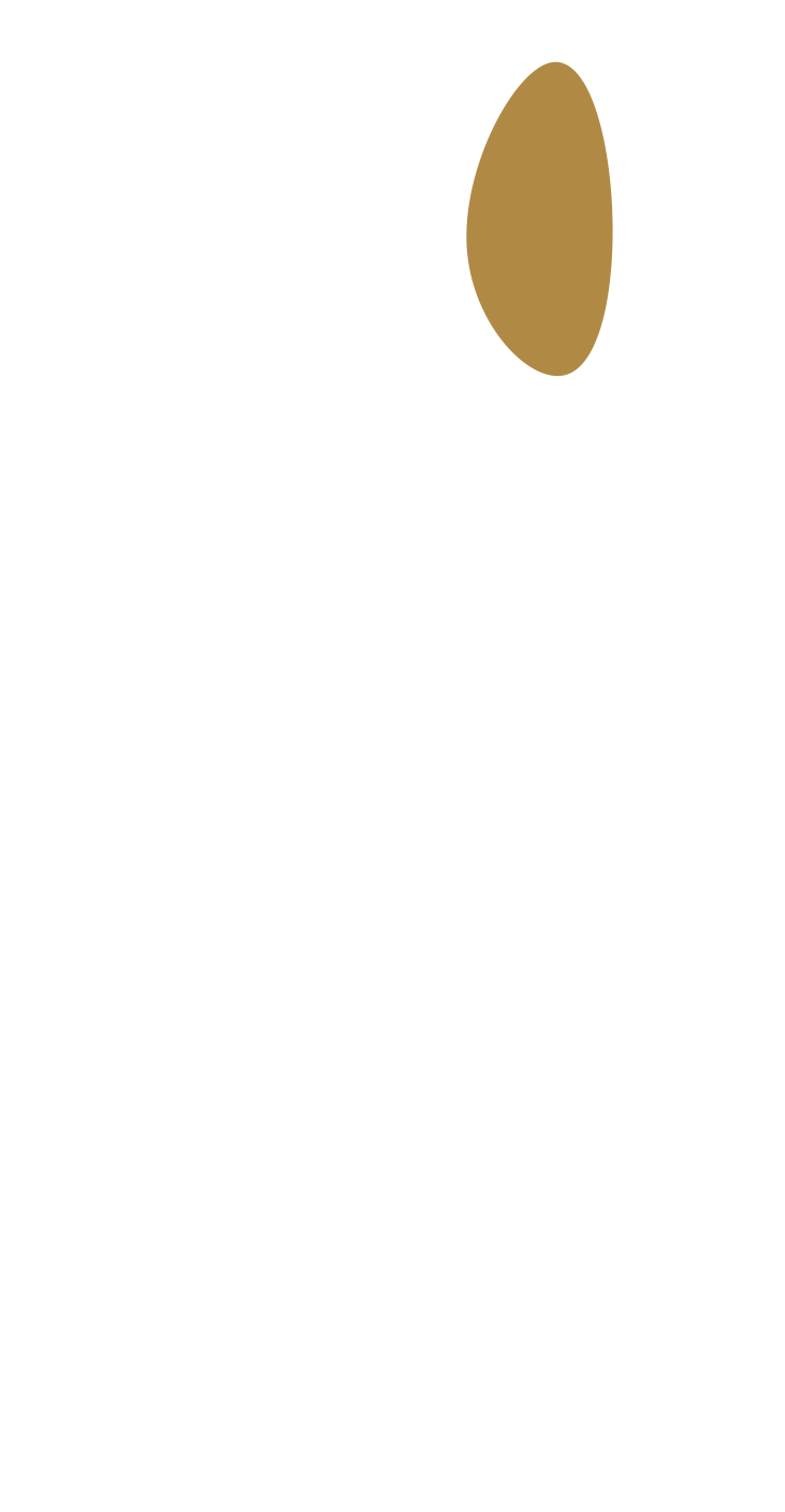 Icône F.I.S.S.A.