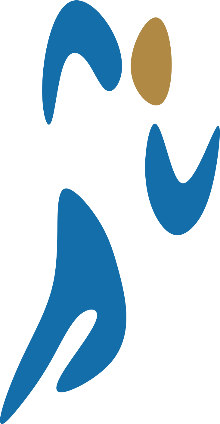 F.I.S.S.A.